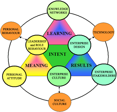 cogmap© diagnostic diagram